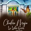 About Chalna Maja La Lebo Gori Song